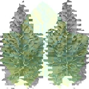 Zeige Details für Weinuntersetzer Weinblatt Gelb/Grün 1000 Stück Bild von Weinuntersetzer Weinblatt Gelb/Grün 1000 Stück