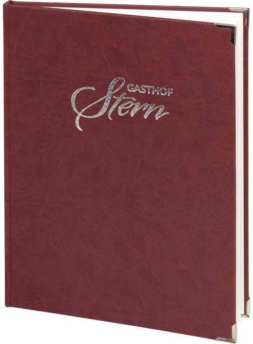 Bild von Muster Hansa Designleder mit Logo